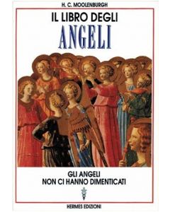 IL LIBRO DEGLI ANGELI di H.C. Moolenburgh